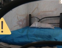 Estas son algunas recomendaciones para controlar plagas de chinches en casa. EL INFORMADOR / ARCHIVO