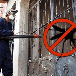 ¿Qué síntomas revelan que el dengue se vuelve grave?