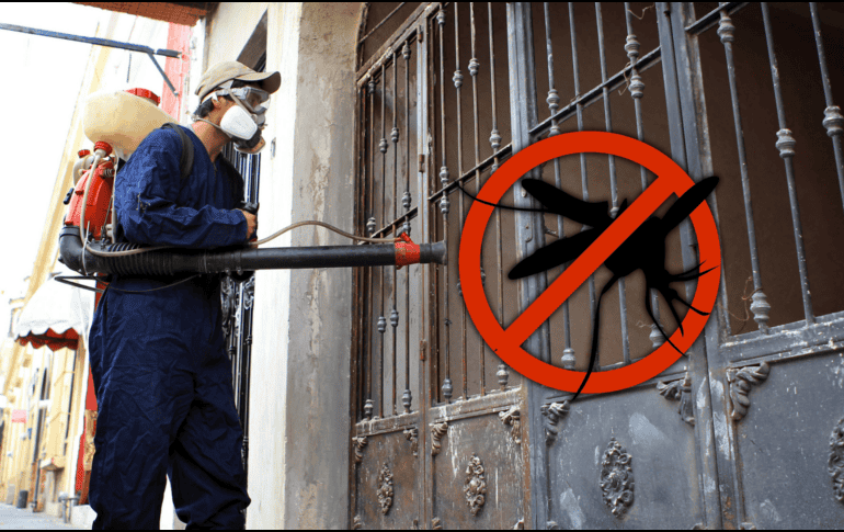 El dengue es una enfermedad viral febril que se transmite por la picadura de un mosquito hembra del género aedes aegypti que esté infectado con alguno de los 4 serotipos del virus. EL INFORMADOR / ARCHIVO