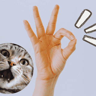 ¿Cómo comunicarte sin palabras? Las claves del lenguaje corporal