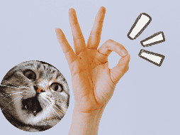 Nuestro cuerpo, nuestra voz y nuestro espacio tienen mucho que decir, aunque no emitamos una sola palabra. ESPECIAL / Canva