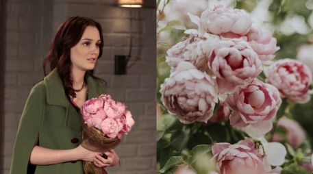 Las flores favoritas de los personajes de TV. ESPECIAL