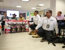 César López, director de ASICA, aclaró que por el momento no hay presencia de gusano barrenador en Jalisco. EL INFORMADOR / H. FIGUEROA