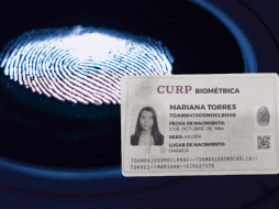 Para solicitar el nuevo formato de la CURP, es necesario acudir a alguno de los módulos donde está disponible el trámite con los documentos requeridos. ESPECIAL