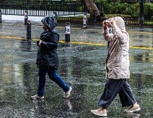 El especialista Mauricio López Reyes indicó que no es una cantidad tan preocupante, sobre todo porque hemos tenido precipitaciones importantes. EL INFORMADOR/ARCHIVO