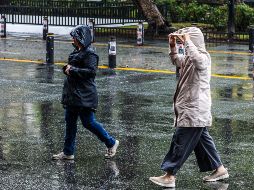 El especialista Mauricio López Reyes indicó que no es una cantidad tan preocupante, sobre todo porque hemos tenido precipitaciones importantes. EL INFORMADOR/ARCHIVO
