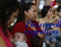 La leche materna contiene ácidos grasos poliinsaturados de cadena larga, neurotransmisores y factores hormonales que son esenciales para el desarrollo cerebral. EFE / ARCHIVO