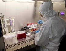 Con miles de casos confirmados, este parece ser el mayor brote de chikungunya documentado en China. EL INFORMADOR / ARCHIVO