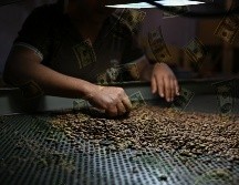 Todos los cafés con precios récords fueron cosechados en este pequeño pueblo. EFE / ARCHIVO