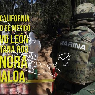 Dan golpe al crimen organizado con aseguramiento millonario de drogas