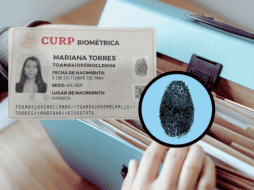 La Secretaría de Gobernación ha detallado los documentos necesarios para realizar el trámite de la CURP biométrica. ESPECIAL