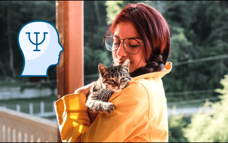 ¿Qué es la terapia asistida con gatos? UNSPLASH / M. ELÍAS