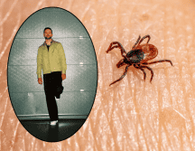 Thalia, Justin Bieber y Justin Timbarlake son algunos de los famosos que padecen la enfermedad de Lyme. ESPECIAL/Facebook @Justin Timberlake