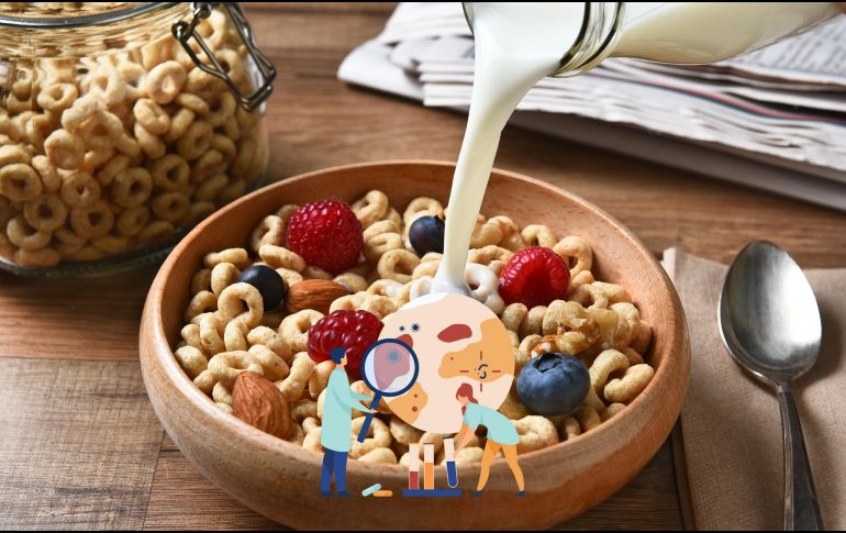 La investigación estudió a un grupo con una dieta con ultraprocesados, como cereales para el desayuno o lasaña precocinada, el otro hizo con alimentos casi no procesados como avena remojada. ESPECIAL / CANVA