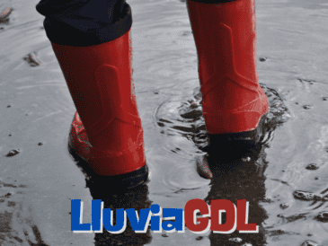 La probabilidad de lluvia en Guadalajara para este día comienza por la tarde, pero es más pronunciada a partir de las 18:00 horas. ESPECIAL / CANVA