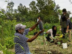 En Juanacatlán siembran un bosque que sobreviva al fin del mundo