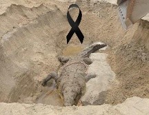 Autoridades realizaron la necropsia y tomaron muestras para determinar la causa de muerte de 