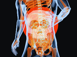 Según fuentes médicas oficiales como el Instituto Nacional del Cáncer de EUA, los síntomas tempranos incluyen indigestión, sensación de llenura con poca comida, ardor estomacal, náuseas y pérdida de apetito. ESPECIAL / Canva