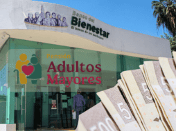 De acuerdo con la Secretaría del Bienestar, toda persona incorporada al padrón debe 