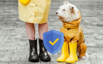 qué necesitas para cuidar a un perro