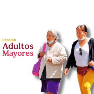 Pensión Bienestar: ¿Es OBLIGATORIO que el auxiliar sea un familiar?