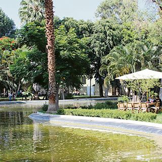 Parque Agua Azul un oasis de relajación