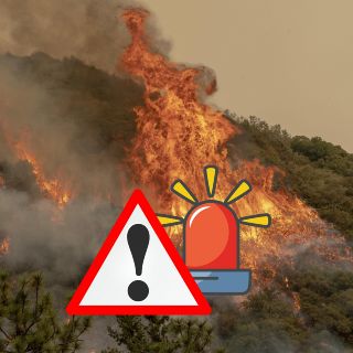 Los Ángeles de nuevo en llamas; bomberos ya combaten el siniestro