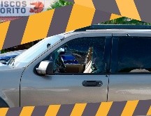 Los cuerpos corresponden a 7 hombres encontrados en diferentes localidades de los municipios de Culiacán, Navolato y Mocorito. AFP / ARCHIVO