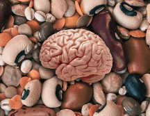 uno de los alimentos más recomendados para el cuidado de la salud cerebral son las legumbres. ESPECIAL / CANVA