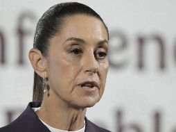 La Mandataria confirmó solicitud de dron estadounidense para una investigación especial. AP