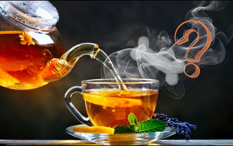 La osteoporosis es una enfermedad silenciosa que debilita los huesos, volviéndolos frágiles y propensos a fracturas. CANVA