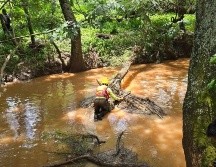 Ya suman 13 muertes relacionadas con el temporal de lluvias en lo que va del año en Jalisco. ESPECIAL.