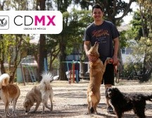 El Gobierno capitalino se convierte en el primer estado de México en reconocer el valor y cuidado que representan las mascotas dentro del hogar.  EL INFORMADOR/ARCHIVO/ESPECIAL