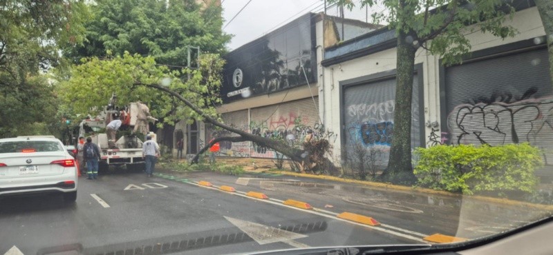 ESPECIAL / EL INFORMADOR 