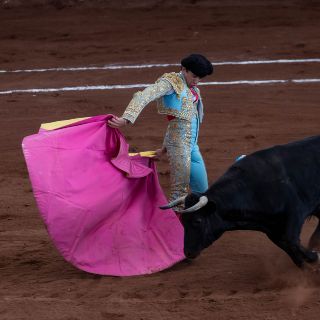 Vuelven las novilladas: Una tarde para vivir la tauromaquia