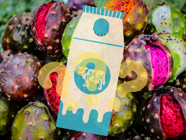 Aunque tomar licuados de frutas por la mañana, combinar ciertas frutitas con la leche puede acarrear malestares estomacales. EL INFORMADOR / ARCHIVO