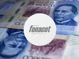 Para acceder a este financiamiento, las interesadas deben cumplir con ciertos requisitos. PEXELS.