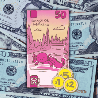 El peso ESCALA frente al dólar hoy jueves previo a datos económicos