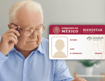 El Programa de Vinculación Productiva del Inapam ofrece sueldo base, estabilidad laboral y prestaciones de ley. ESPECIAL