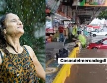 La prevención, la información y el autocuidado son claves para evitar problemas de salud durante estos meses. X/@MVZ_Jluis