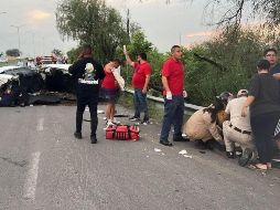 Los cuerpos de ambas víctimas fueron llevadas a las instalaciones del Servicio Médico Forense del Instituto Jalisciense de Ciencias Forenses. ESPECIAL