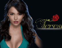 Angelique Boyer celebra los 15 años de 