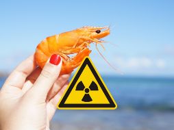 La FDA recomendó a los ciudadanos no comer camarones congelados de esa marca por una posible contaminación con Cesio-137, un isótopo radioactivo. ESPECIAL / CANVA