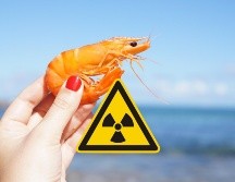 La FDA recomendó a los ciudadanos no comer camarones congelados de esa marca por una posible contaminación con Cesio-137, un isótopo radioactivo. ESPECIAL / CANVA