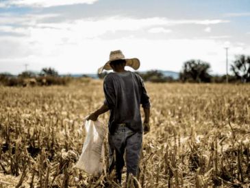 Los operarios de sectores como la agricultura, la construcción y la pesca se ven especialmente afectados. EL INFORMADOR / ARCHIVO