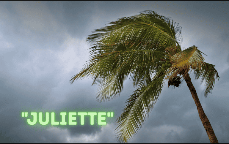 De continuar su desarrollo, este fenómeno daría paso al nuevo ciclón tropical de la temporada de nombre 