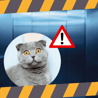 ¿Qué hacer si el elevador donde me encuentro comienza a desplomarse?