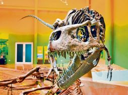 En este museo es posible conocer de cerca la era de los dinosaurios. CORTESÍA