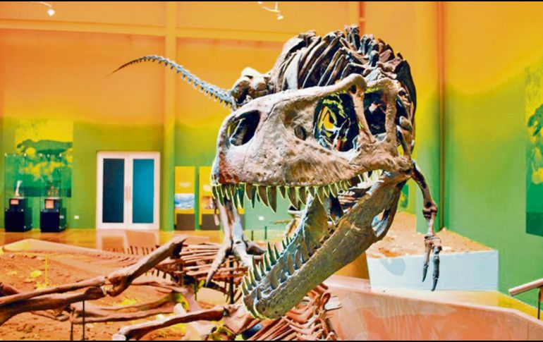 En este museo es posible conocer de cerca la era de los dinosaurios. CORTESÍA