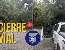 Los tres carriles de sur a norte de avenida Patria se encuentran cerrados por la caída de un árbol. ESPECIAL / FACEBOOK Policía Vial Jalisco